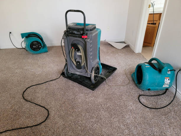 Best 24-hour water damage restoration  in Great Notch, NJ