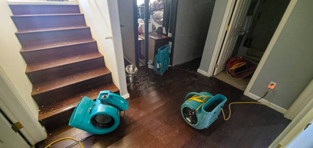 Best Sewage cleanup and water damage restoration  in Great Notch, NJ