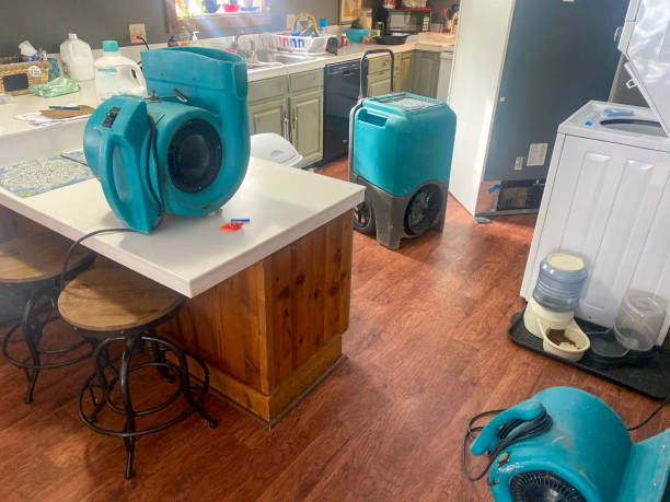 Best 24-hour water damage restoration  in Great Notch, NJ
