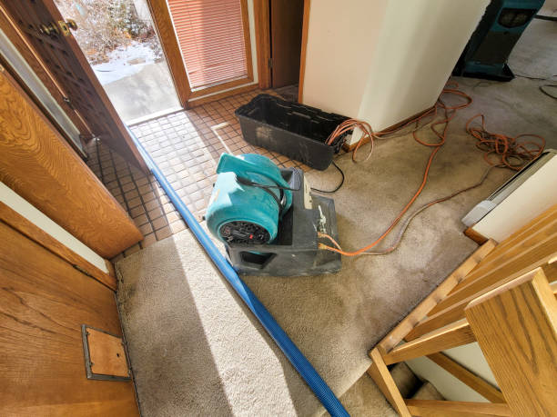 Best Water damage cleanup near me  in Great Notch, NJ