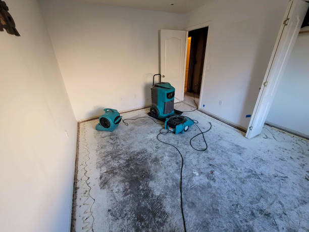 Water damage restoration mold remediation in Great Notch, NJ