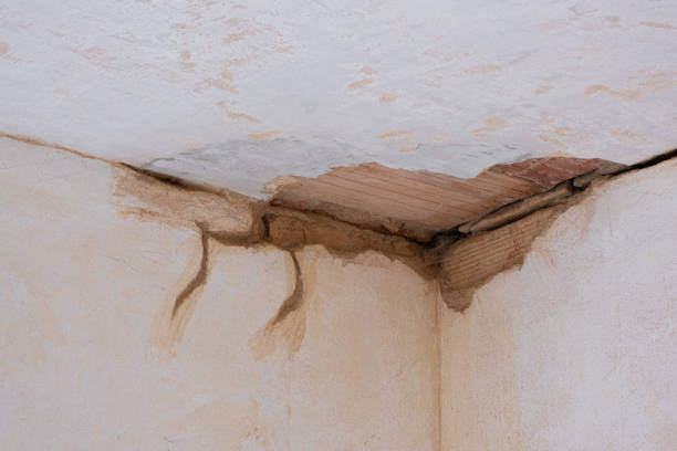 Trusted Great Notch, NJ Water damage restoration Experts