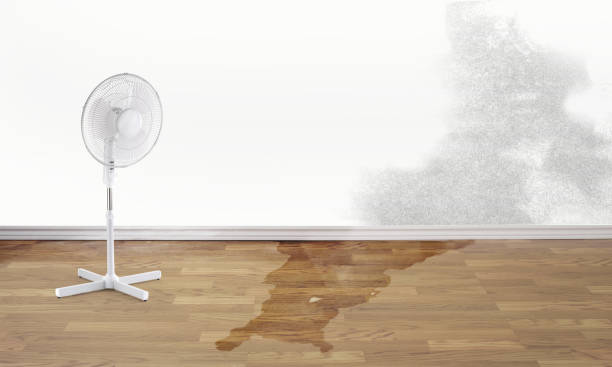 Best Sewage cleanup and water damage restoration  in Great Notch, NJ