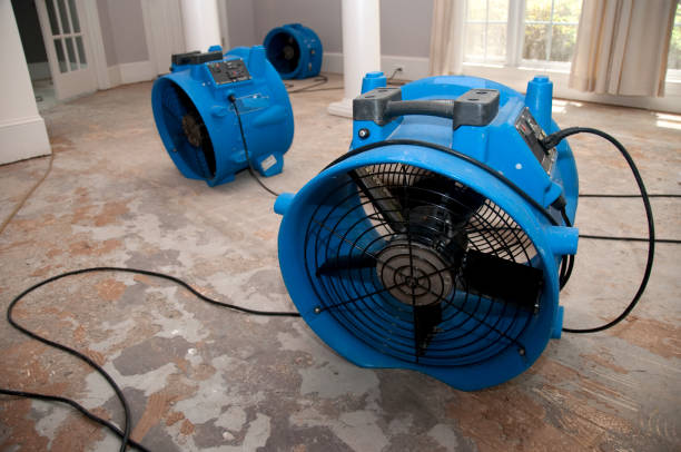 Reliable Great Notch, NJ Water damage restoration Solutions