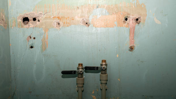 Best Mold removal after water damage  in Great Notch, NJ