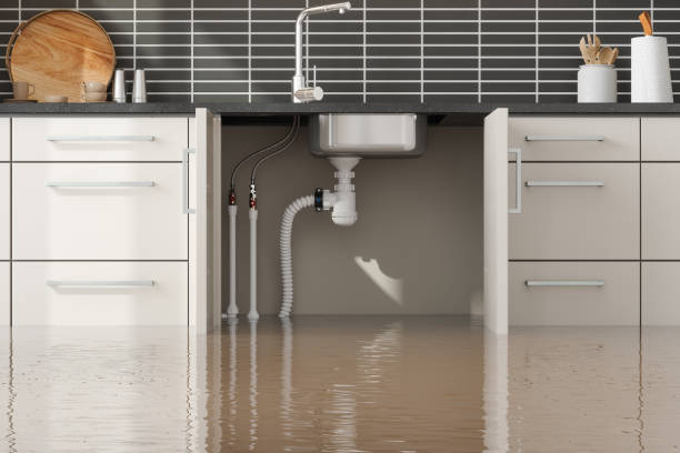 Best Water damage cleanup near me  in Great Notch, NJ