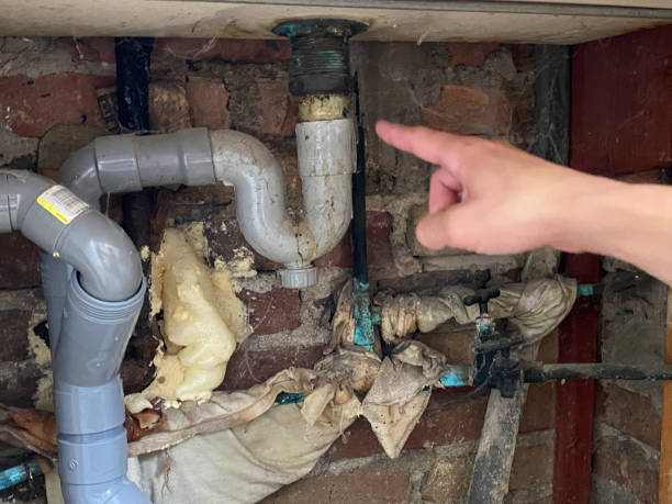 Best Local water damage restoration  in Great Notch, NJ