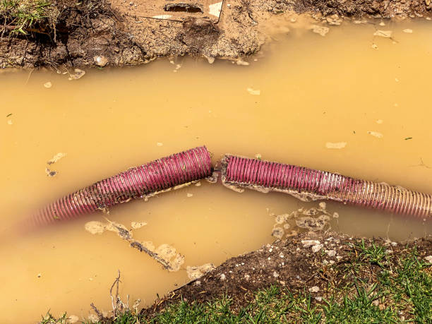 Best 24/7 water damage repair  in Great Notch, NJ
