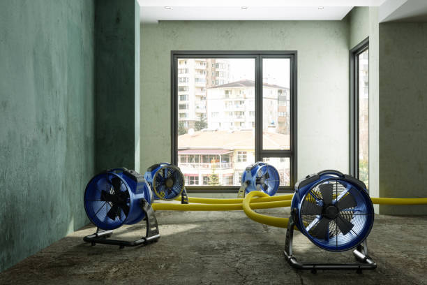 Best Water damage restoration near me  in Great Notch, NJ